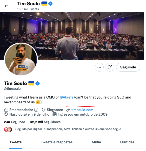 print screen do perfil do TimSoulo no Twitter, com o link para o site do palestrante.