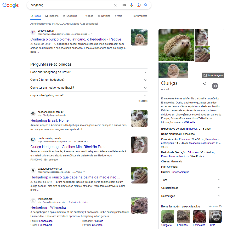 screenshot da serp de painel de informação para ouriço