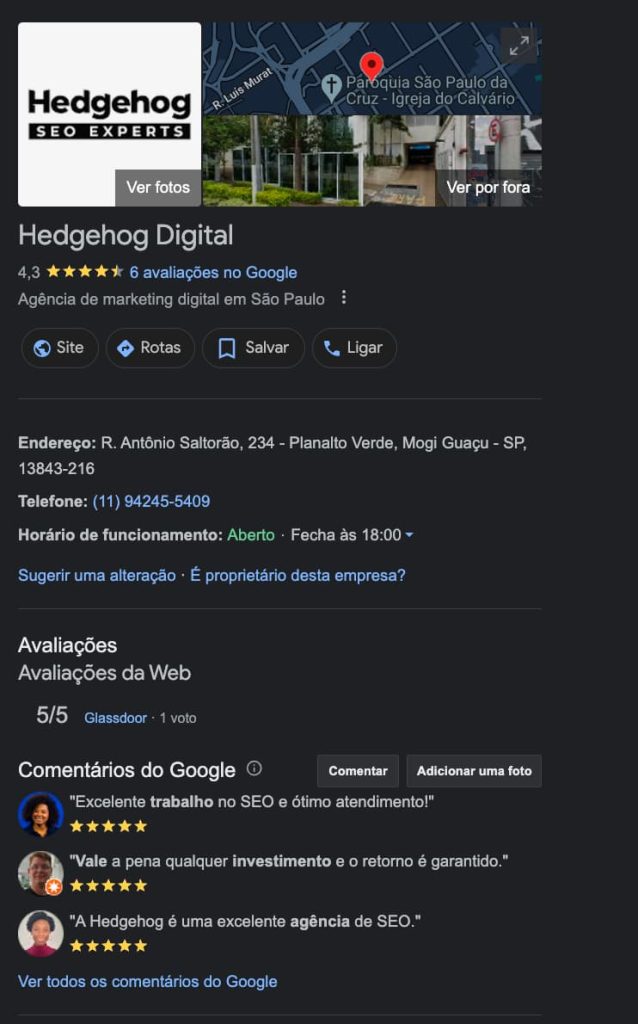 Print da pesquisa na SERP sobre a Hedgehog Digital 