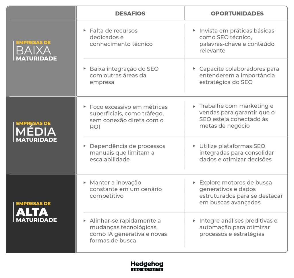 infográfico com informações para empresas de baixa, média e alta maturidade, com insights práticos do que pode ser feitoem seo