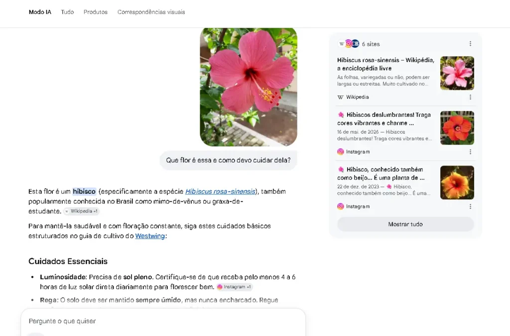 Exemplo de busca multimodal no Google AI Mode: o usuário envia uma imagem, faz uma pergunta e a IA interpreta o contexto para gerar uma resposta.