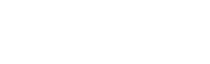 Hedgehog - SEO Experts