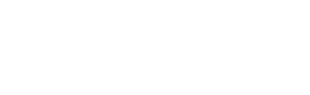 Hedgehog - SEO Experts